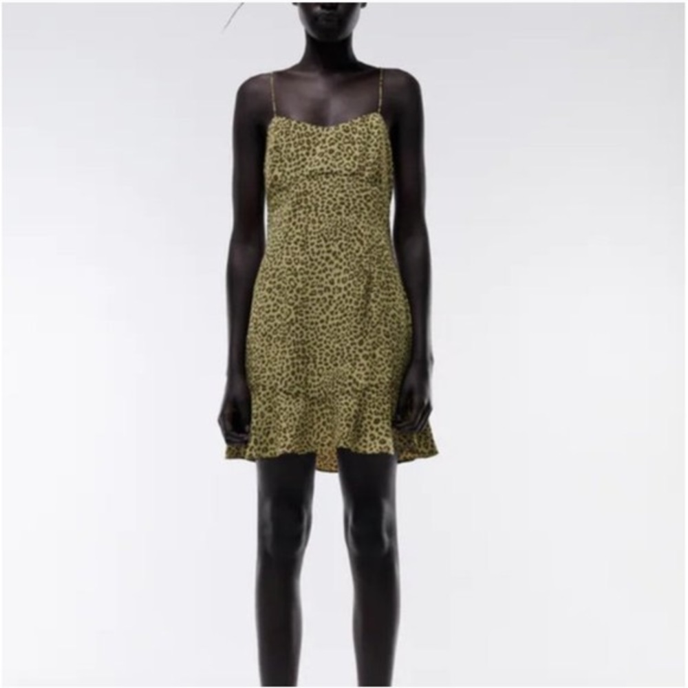 Zara dress